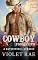 Livro O cowboy possessivo (Havenstone®: Corações possessivos Livro 1)