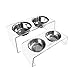 Acrylic Raised Dog Bowls 7 inches Transparent Elevated Feeder Stand with 2 Stainless Steel Bowls by Lubber