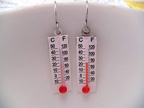 Is it HOT HOT HOT Novelty Thermometer Earrings