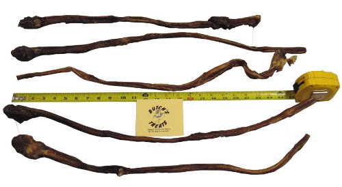 water buffalo pizzle