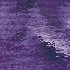 Spectrum Grape Waterglass