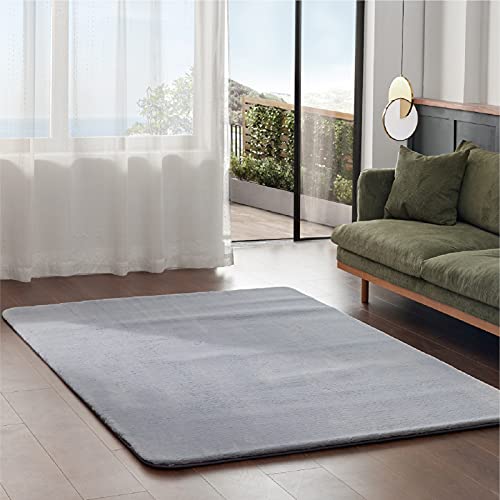 Bedsure Faux Fur Area Rug - Soft Fluffy Fuzzy Rug 2x3 for Bedroom, Grey Shag Rugs Non Slip, Furry Throw Rugs for Living Room, Home Decor for Girls Kids Teen Nursery Dorm Room