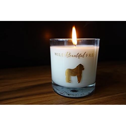 Wild Berry Rose and Spice Organic Aromatherapy Candle with Pure Essential Oils for Balance and Anxiety Relief - Peace Gorilla Luxury Candle by Wild Beautiful Free Home & Kitchen, Home Décor, Candles & Holders, Candles, Scented Candles