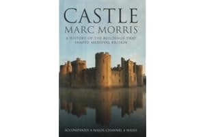 Castle: A History of the Buildings that Sahped Medieval Britain