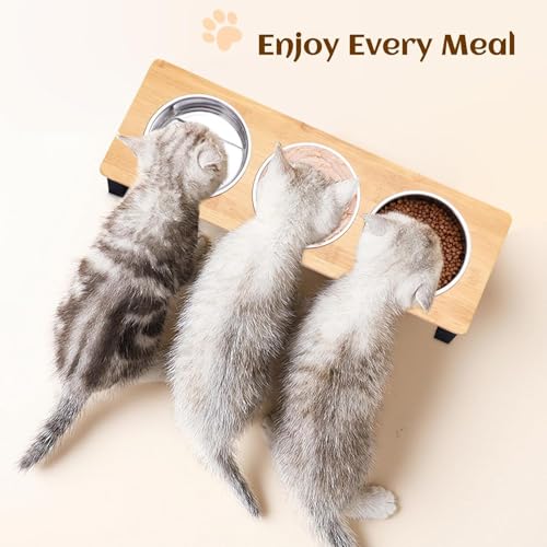 Last page® Elevated Cat Food Bowl, 15°Tilted Cat Bowl Stand with 3 Stainless Steel Raised Cat Bowls for Food and Water, Anti Vomit Feeding Station for Indoor Cats and Pet