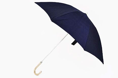 Amazon Co Jp バーバリー Burberry 内側 チェック がお洒落な 日傘