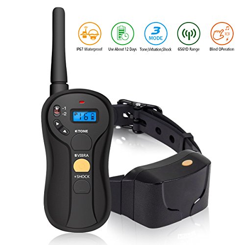 focuspet dog training collar