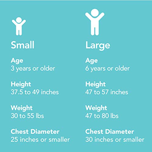 WhizRider, Most Compact, Safe Portable Car Seat Ever HarnessStyle Restraint System for