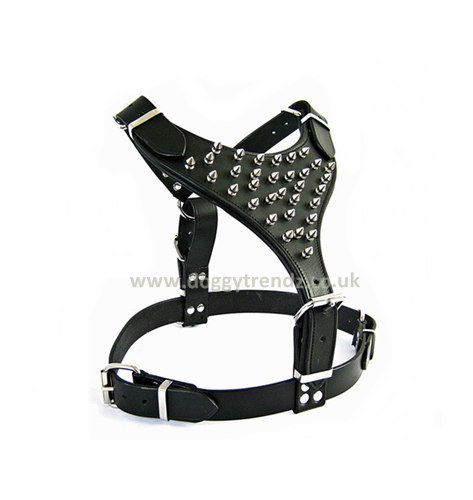 Avon Pet Products Ltd. Spike Leather Dog Harness Rottweiler Pitbull Doberman Bulldog