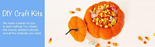 Needle Felted Pumpkin Bowl