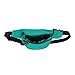 DALIX Small Fanny Pack Waist Pouch S XS Size 24 to 31 in Aqua