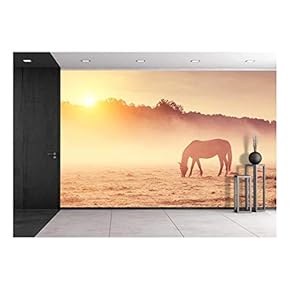 Arabian Horses Grazing on Pasture at Sundown in Orange Sunny Beams - Removable Wall Mural | Self-Adhesive Large Wallpaper - 66x96 inches
