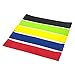 Resistance Loop Bands Set of 5, Exercise Bands for Working Out and Physical Therapy, with Carrying Bag