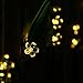 SKYFIRE Led Flower Fairy Lights，22ft 50 Led Blossom Solar Fairy Lights Solar Flower String Lights for Outdoor,Garden, Patio(Warm White)