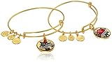 Alex and Ani Unbreakable Bond Set Bangle Bracelet