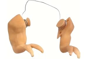 LOGUTIA 3 Pairs of Chicken Arms Chicken Forelimb Decoration Funny Dinosaur Pet Prop Chicken Arm Spoof Pet Chicken Decorations Fun Chicken Arm (Solid Color)