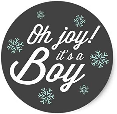 Oh Joy Its A Boy Baby Snowflakes Holiday Christmas Label Stickers Xmas Gift Tag Decor