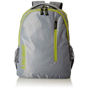 DURAPACK Ferry 26 Ltrs Grey Casual Backpack (F1GR)