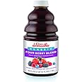 Dr. Smoothie Classic Four Berry Blend, 46 Ounce