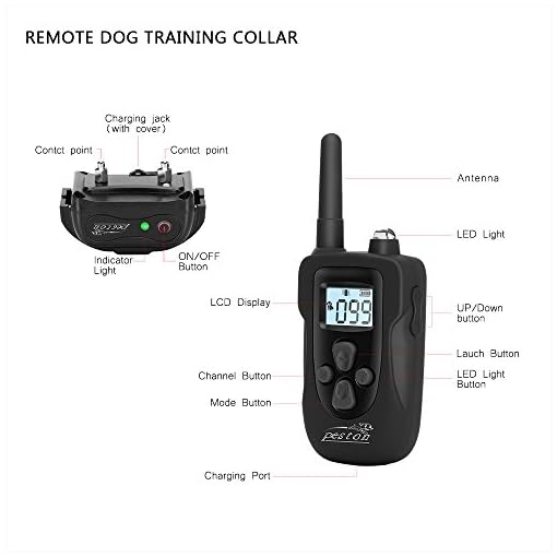 peston dog training collar customer service