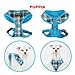 Puppia Soft Dog Harness Spring Blue Large