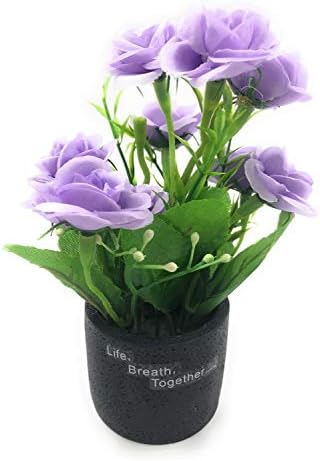 Bonsai Artificial Dwarf Tree ~ Artificial Plants with Pot and Grass Ideal for Home Décor. with Realistic Detailing Size 15 x 12 Cms (Lavender)