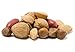 Sincerely Nuts Raw Mixed Nuts in Shell - 3Lb. Bag. - Pecans, Almonds, Brazil Nuts, Walnuts | Deluxe & Fancy Gourmet Snack Food | All Natural Blend | Gluten Free, Kosher, Vegan | Keto and Paleo Diet