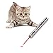 Myfunpets Cat Chaser Toys,2 in 1 Multi Function Funny Cat Chaser Toys Interactive LED Light,Training Tools (Silver(2Pack))