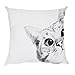 Iuhan Throw Pillow Case Cushion Cover, Cat Picture Pillow Case Polyester Sofa Car Cushion Cover Home Decor 18