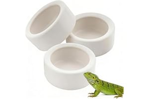 Quhoxdye 3 Pcs Reptile Bowl Food Dish Reptile Water Food Feeding Dish Ceramic Worm Pet Bowl Anti Escape Feeder for Lizard Ano