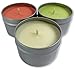 Candlecopia Sex on The Beach, Jamaica Me Crazy and Butt Naked Strongly Scented Hand Poured Vegan Travel Tin Candles, 3 x 4 Ounce Tins