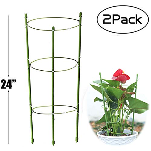Anzmtosn Large Size 24INCH Garden Plant Support Ring Large Size Garden Trellis Flower Stainless Steel Support Climbing Vegtables&Flowers&Fruit Grow Cage with 3 Adjustable Rings 60CM (2PCS) - Thumbnail 6