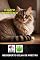 Livro O Gato Doméstico