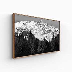 Canvas Wall Art for Living Room, Bedroom Great View Framed Canvas Prints for Home Decoration Ready to Hang - 16x24 inches