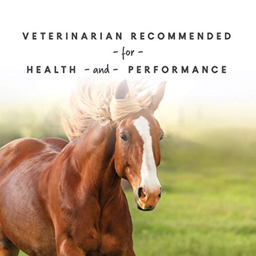 Manna Pro ShoGlo Supplement for Horses Complete Vitamin & Mineral