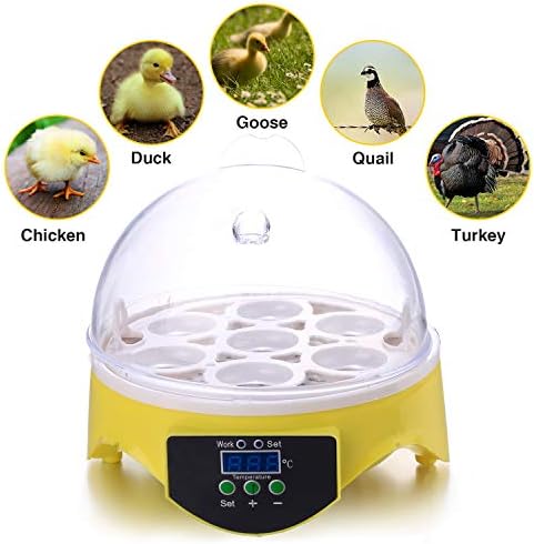 Currens 7 Egg Incubator Digital Mini Egg Incubator Chicken Duck Egg Incubator Egg Hatcher (7 Egg Incubator)