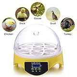 Currens Mini Egg Incubator,Digital Incubators for Hatching Chicken Turkey Quail Fertilized Eggs