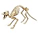 Spooktacular Creations Skeleton Cat & Rat Skeleton for Halloween Skeleton Animal Decorations, Skeleton Yard Décor and Reaper Bones Animals