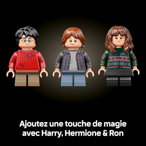 Harry Potter L’École des Sorciers – Édition Collector - Maquette DIY - Décoration Intérieure - Scènes Miniatures du Film - Figurine d'Hedwige - 3 Minifigurines - Idée Cadeau pour Fan Adulte 76466