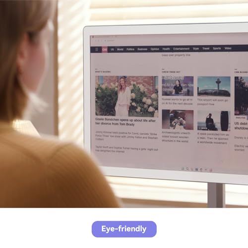 Bigme B251 Epaper Color Monitor 25.3 Inch Screen