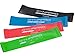 DYNAPRO Resistance Bands- Mini Precision Loop Exercise Bands with E-Quickstart Workout Guide (Black-Green-Red-Blue)
