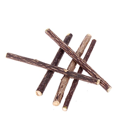 5Pcs Pure Natural Catnip Pet Cat Molar Toothpaste Stick Cat Cleaning Teeth Pet Cat Molar Toothpaste Stick Cat Snacks Sticks - Thumbnail 4
