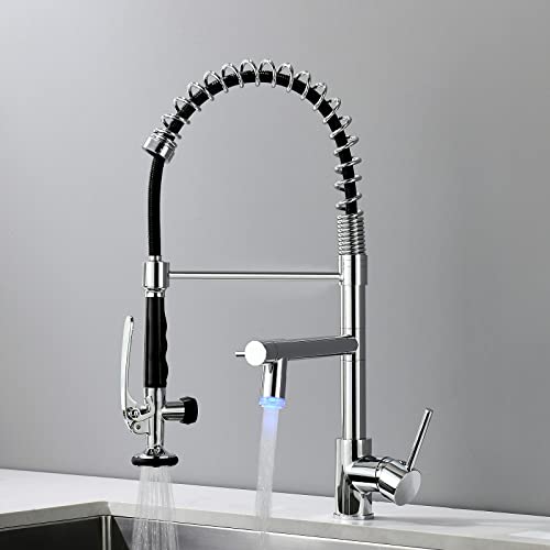 Fapully Kitchen Faucet with Pull Down Single Handle