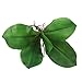 1 Branch Faux Butterfly Orchid Leaf Simulation Grass Home Decoration Green