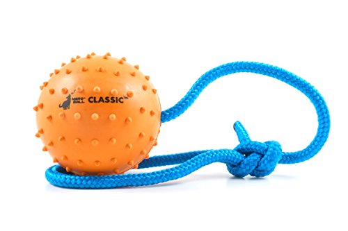 The Nero Ball Classic TM - K-9 Ball On a Rope Reward and Exercise Toy - Police K-9 - Schutzhund - Natural Rubber (2.75