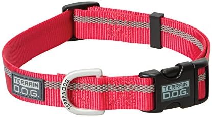 terrain dog collar