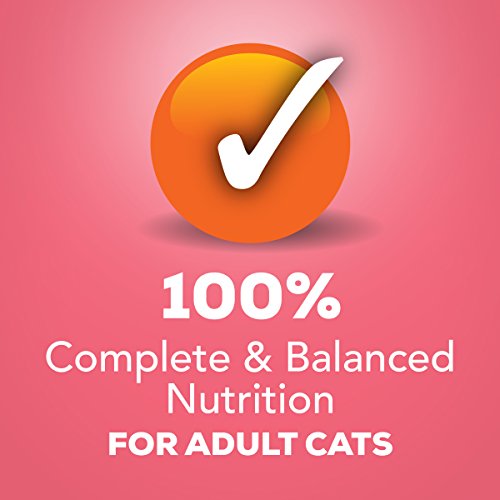Purina Friskies Shreds Salmon Wet Cat Food - Image 7