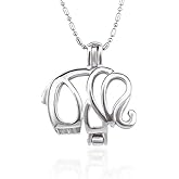 LGSY 5Pcs Silver Plated Elephant Cage Pendants Crafting Charm for DIY Necklace Bracelet Jewelry Making