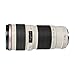 Canon EF 70-200mm f/4L USM Telephoto Zoom Lens for Canon SLR Cameras