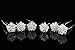 Set of 6 Star Flower Snowflake Crystal Hair Pins H078